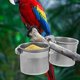 thumbnail image 4 of Comedero para loros, comedero para pájaros, poste de pie para mascotas, accesorios para jaulas, cuencos, estantes y contenedores., 4 of 6