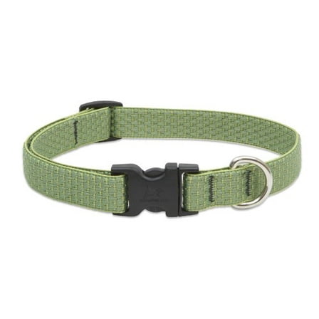 3/4in Moss 9-14 Adj Dog Collar