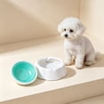 thumbnail image 6 of Cooling Dog Bowl for Summer Heat, Frosty Pet Water Bowl for Dogs Cats, Detachable Freezable Dog Bowl with Non- Base, Keeps Water Cold for Hours, Food Grade Pet Feeding Bowl, 6 of 6