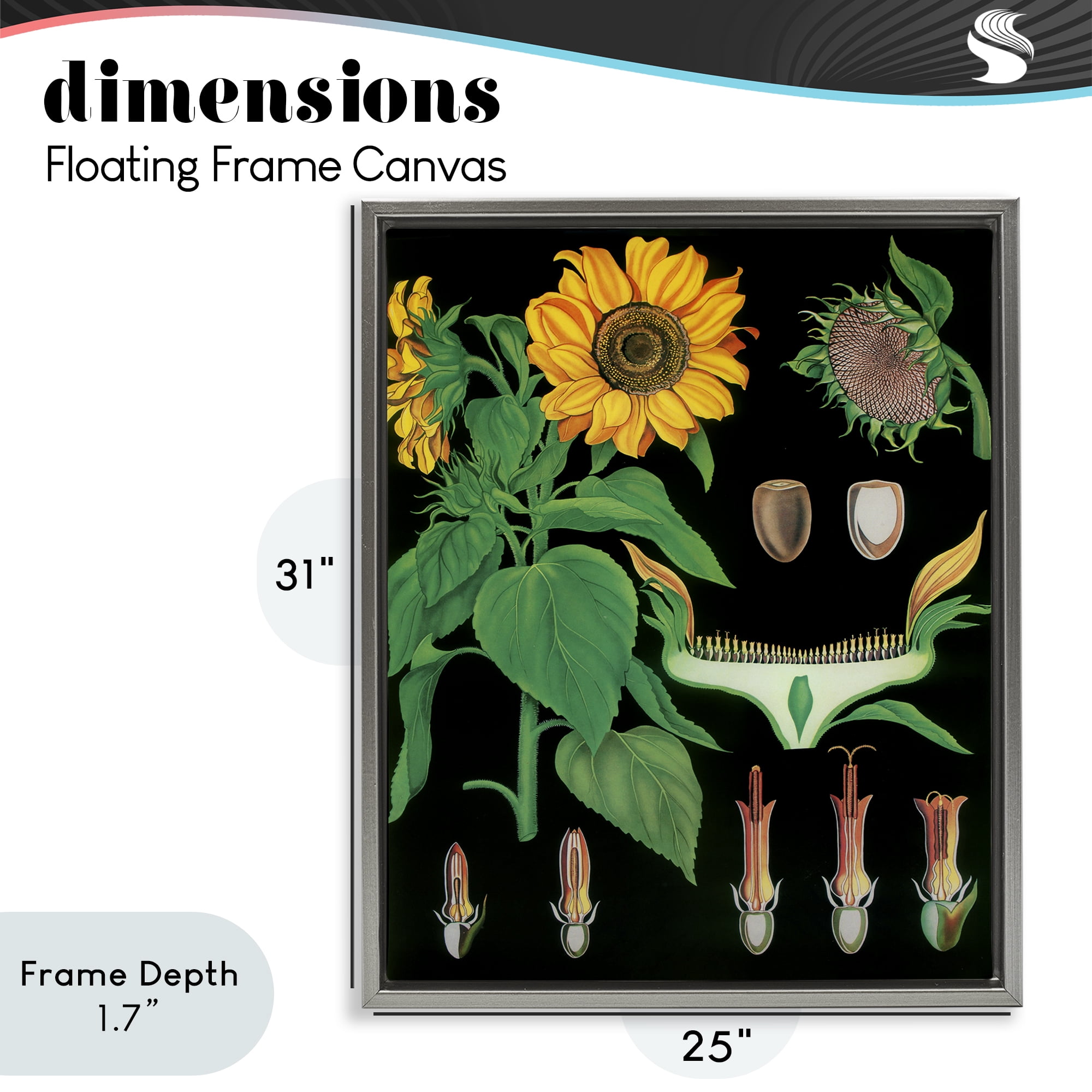 Stupell Industries Sunflower Bulb Illustrations Gray Framed Floater Canvas Wall Art, design by Vintage Hustle
