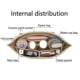 thumbnail image 4 of Bolsa de inserción que se adapta a bolso Longchamp, bolsa con forro, bolsa de maquillaje de tela de fieltro, soporte de viaje, organizador de bolso portátil, 4 of 4