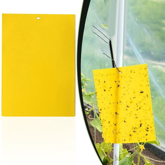 Sticky Fruit Fly and Gnat Traps for House Plants, Yellow Flying Insect Catcher, 5.91" x 3.94"