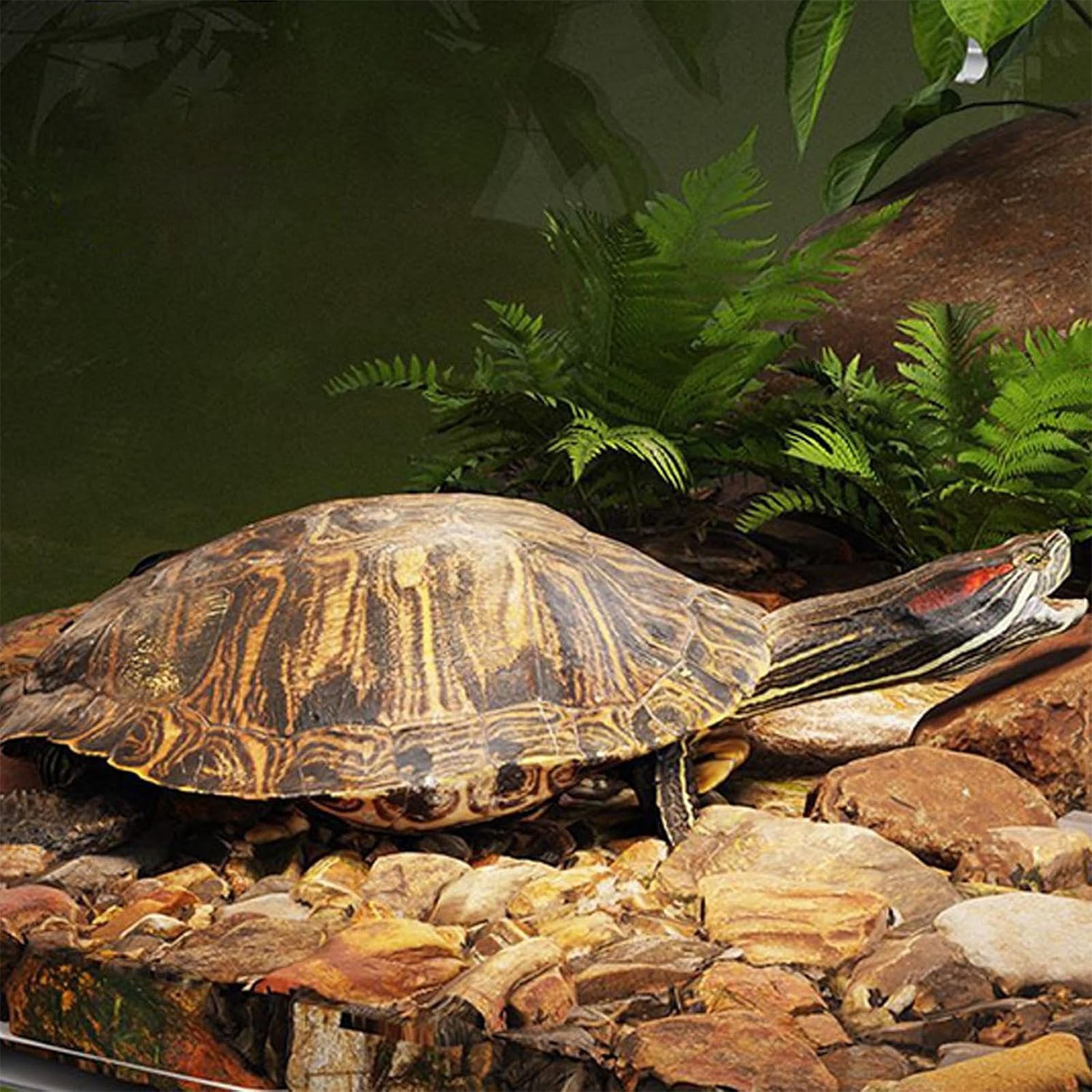 AUHomi Turtle Basking Platform, Small Land Elevated Topper Decor, Eared Slider Hanging Habitat Enclosure Cage, Tank with Lid, Tortoise House for Semi Aquatic Baby Terrapin