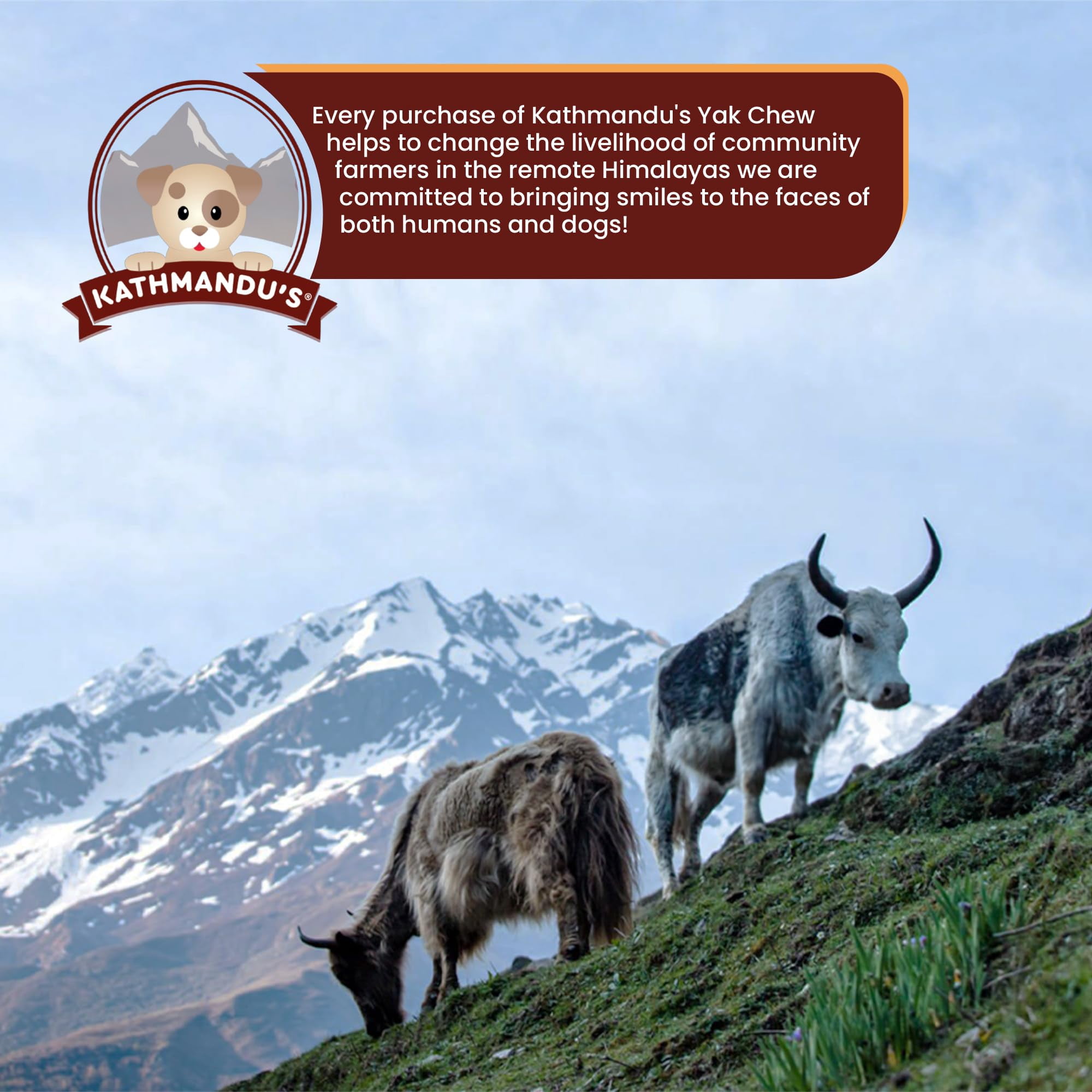 Kathmandus Himalayan Yak Chew for Dogs, Large, 4 Pack