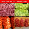 thumbnail image 4 of 8 Pcs Large Mesh Storage Produce Bags MODANU Reusable Vegetable Storage Bags Sacks 23'' x 35'' Holds up to 60 Lbs Vegetable Storage Bags, Red, 4 of 7