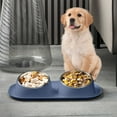 thumbnail image 5 of kkbbma under $5 Elevated Cat Food Bowls, 15掳 Tilted Removable Stainless Steel Double Bowls, Non-Spill Raised Edge, Food and Water Bowls for Cat and Puppy, 5 of 6