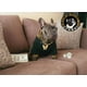 thumbnail image 3 of Collar Para Perro Cadena Cubana Dorada Diferentes Tallas, 3 of 7