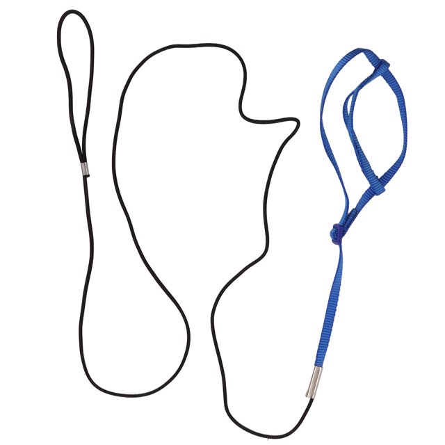 AdjustableHarness Leash, Soft Nylon Webbing Traction Rope With Hook For Cockatiel, Portable And Easy To Use