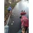 thumbnail image 2 of Zhuge Waterproof Dog Raincoat, Reflective Lightweight Pet Rain Clothes with Poncho Hood (4XL, Red), 2 of 4
