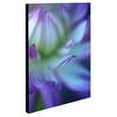 thumbnail image 2 of Trademark Fine Art 'The Color Purple' Canvas Art by Kathy Yates, 2 of 3