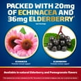 DEFENDEEZE, Immune Support Dietary Supplement 30 Lozenges, Elderberry