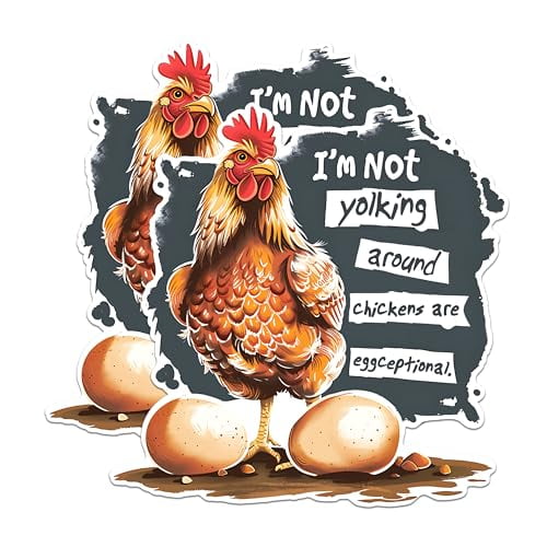 (2 Pack) Chicken Magnets - Funny Kitchen Decor Magnets - Farmhouse Chicken Magnets- 5" On Longest Side - for Fridges, Toolboxes, Cars - Made in USA - MAG2601