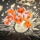 thumbnail image 4 of Dados de juego de mesa Sunnimix 7 Uds D4 D6 D8 D10 D12 D20 Naranja Blanco, 4 of 8