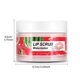 thumbnail image 2 of Exfoliante Labial Ganfancp Sandía 50G, 2 of 7