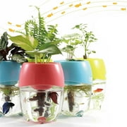 Aquaponic Fish Tank Aquarium for Betta Fish with Water Garden Planter Top Lid Natural Ecosystem for Plant Growth (Blue)