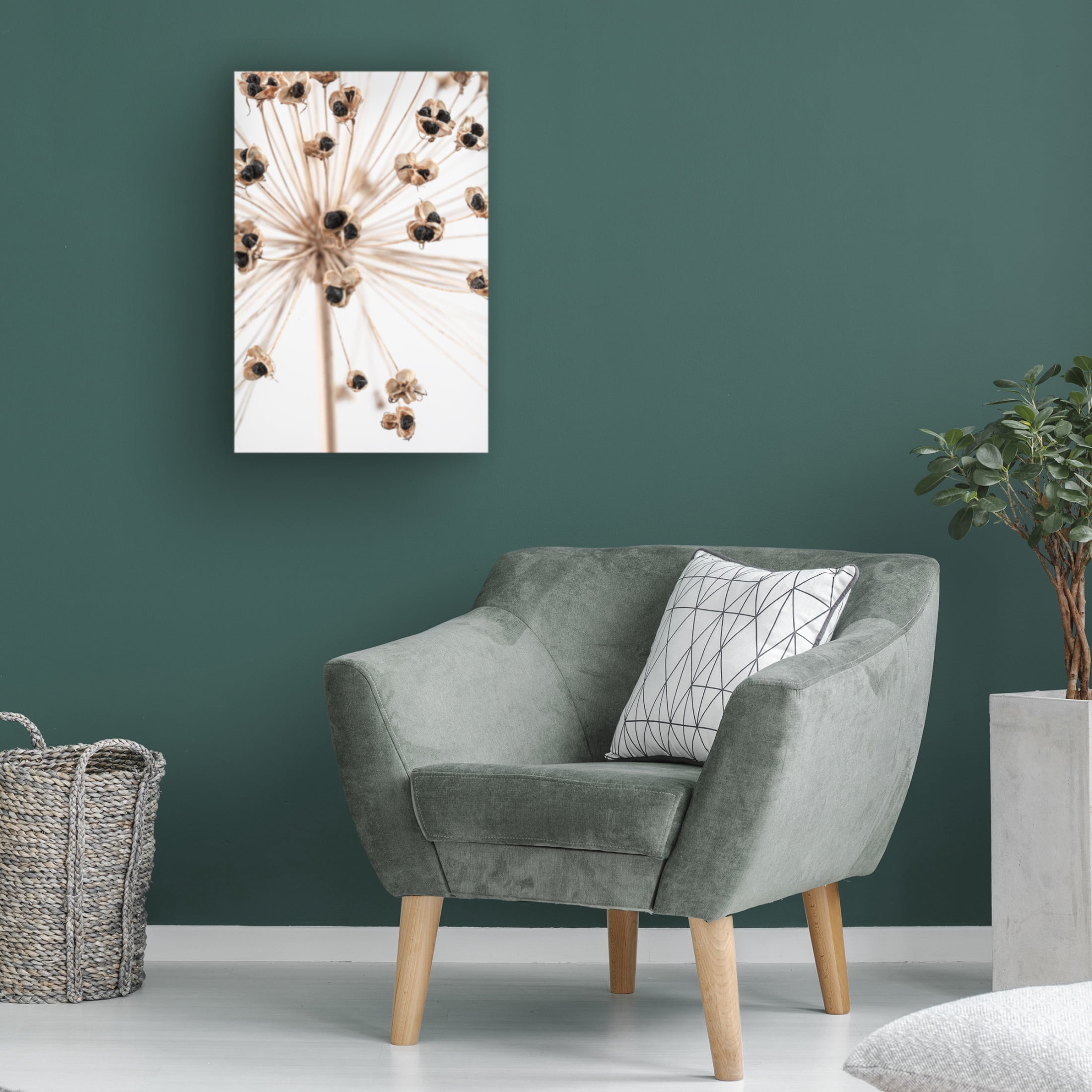 Pictufy Studio III 'Dried 7' Canvas Art - 22 x 32 Inches