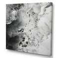 thumbnail image 2 of Designart "Abstract Ivory And Ebony Fluid Art I" Coastal Canvas Wall Art, 2 of 7