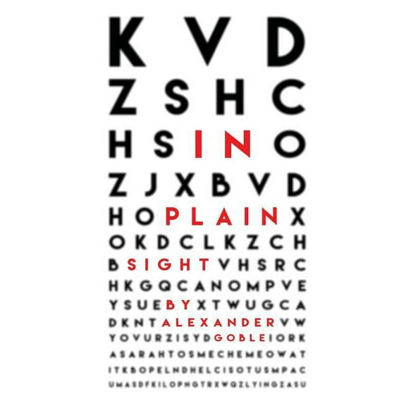 In Plain Sight (Paperback)