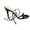 Black, variant on Elegant Stiletto Open Toe Summer Sandals Strappy High Heel Dressy Sandals witn Ankle Strap (Brown 6)