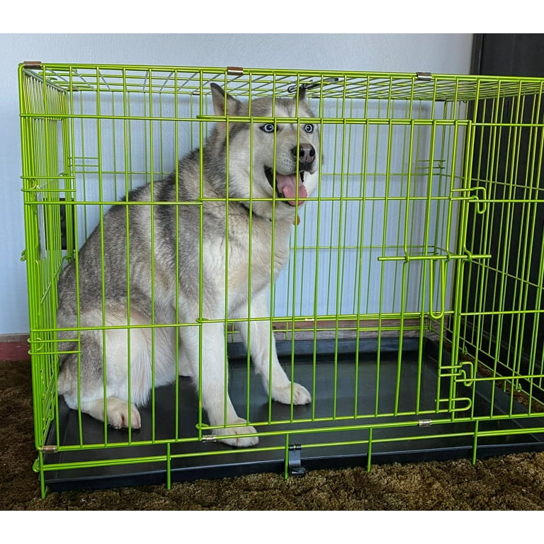 Pet Expressions 48 Inch Green Colored Metal Wire Dog Crate