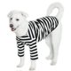 thumbnail image 1 of Lucky Petter Camisas De Algodón Para Perros Pequeños Y Grandes, Camisetas A Rayas De Rugby, Camisa Suave Y Transpirable Para Perros, Ropa Para Mascotas (4Xl Blanco/Negro), 1 of 1