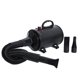 thumbnail image 1 of Methold CN Plug Pets Grooming Secador de pelo Reducción de ruido Fuerte potencia Secado rápido 2 engranajes Dispositivo de soplador de calor ajustable Suministros para perros Negro Methold PT003874-02, 1 of 6
