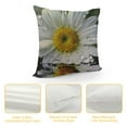 thumbnail image 4 of Chilfamy Daisy Print Throw Pillow Covers Decorative Pillow Cover Square Cushion Cases Soft Cushion Cover Throw Sofa Pillow Case for Home Decor Living Room Bed Couch Car, 4 of 5