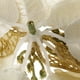 thumbnail image 2 of Decoración para hogar Dulce Shinning Sprakled Artificial Cabeza De Flor Adornos Para árboles De Navidad yotijar flor de la Navidad, 2 of 9