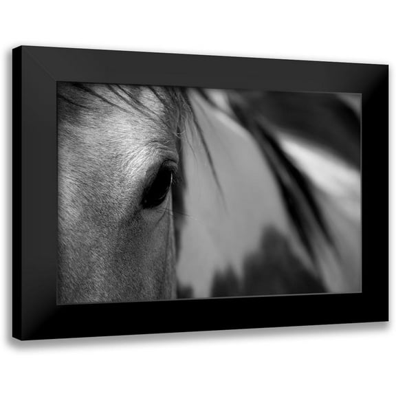 Tyrrell, Lu Anne 14x11 Black Modern Framed Museum Art Print Titled - One Eye