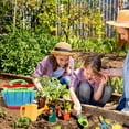 thumbnail image 4 of Jardinería para niños Herramientas de jardín Kit de jardinería para niños ANGGREK  Otros, 4 of 6