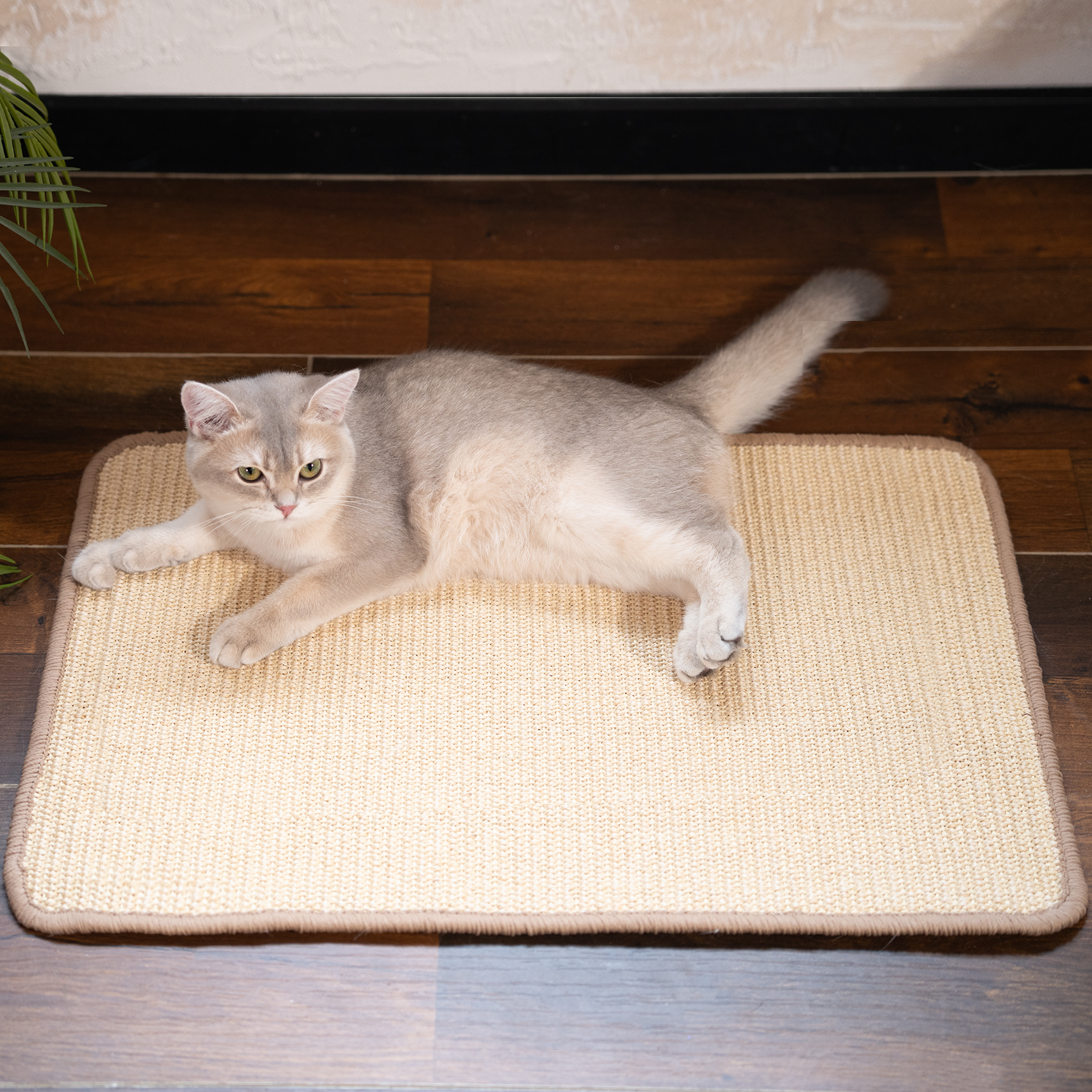 CheerPals Cat Scratcher Mat, 23.6 x 15.7" Sisal photo 6