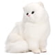 thumbnail image 5 of Mascota de piel sintética, figura de gato peludo de simulación, figura realista, mini gatito, réplica de animal de casa, muy recomendable, 5 of 14
