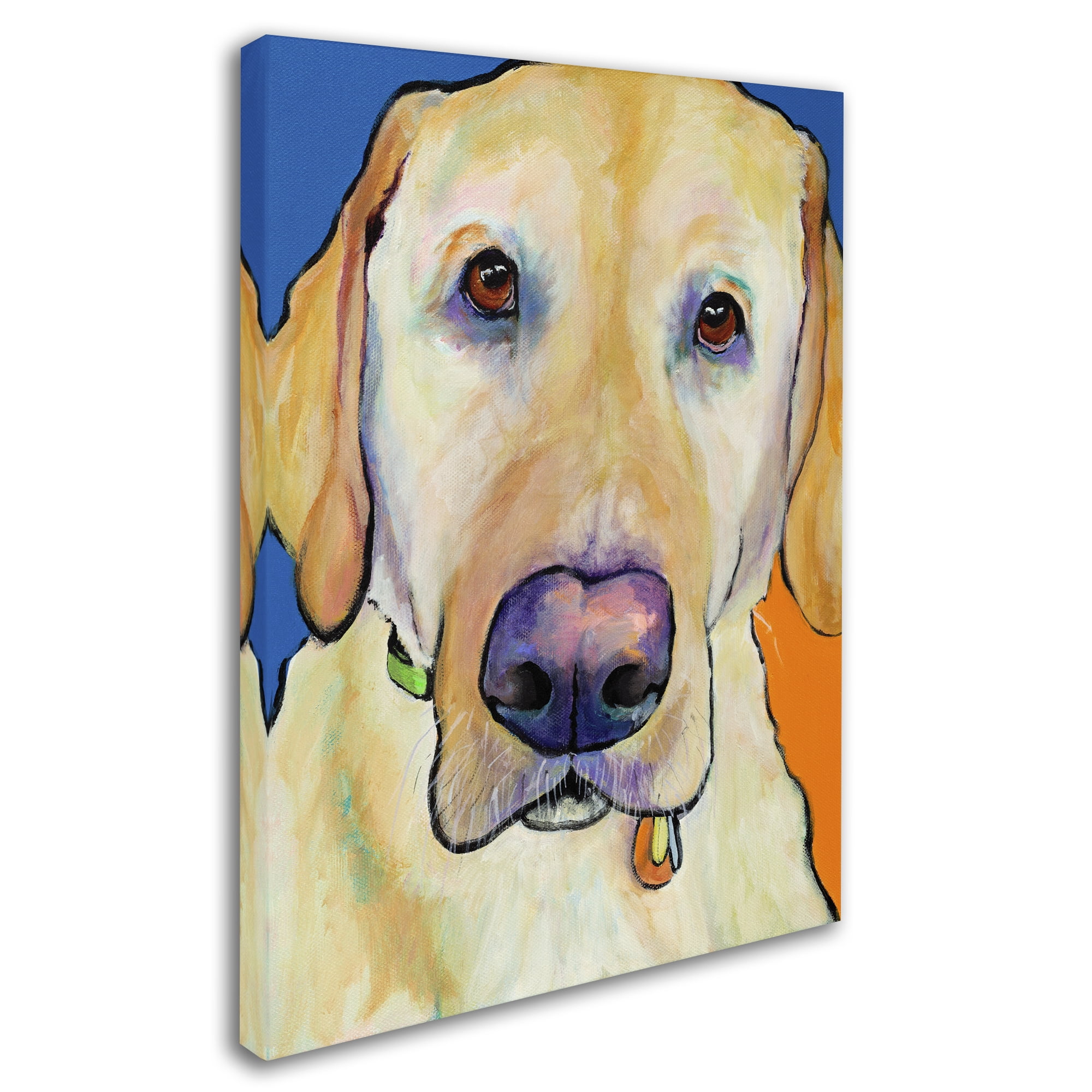 Trademark Fine Art "Spenser" Canvas Art by Pat Saunders-White