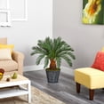 thumbnail image 3 of Nearly Natural 40" Cycas Artificial Tree in Black Planter, Indoor/Outdoor, 3 of 4