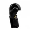 thumbnail image 2 of Guantes De Box Everlast XE2312, 2 of 4