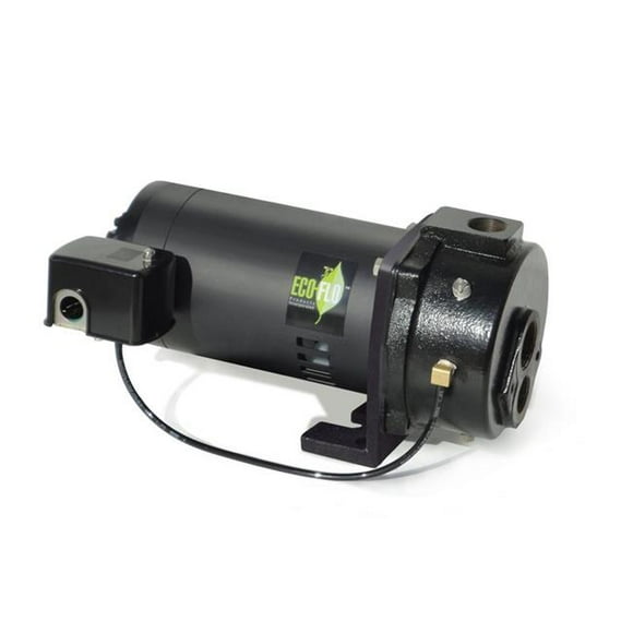 Ecoflo 4789343 Pompe à Puits Profond en Fonte 0.5 HP 1200 Gph