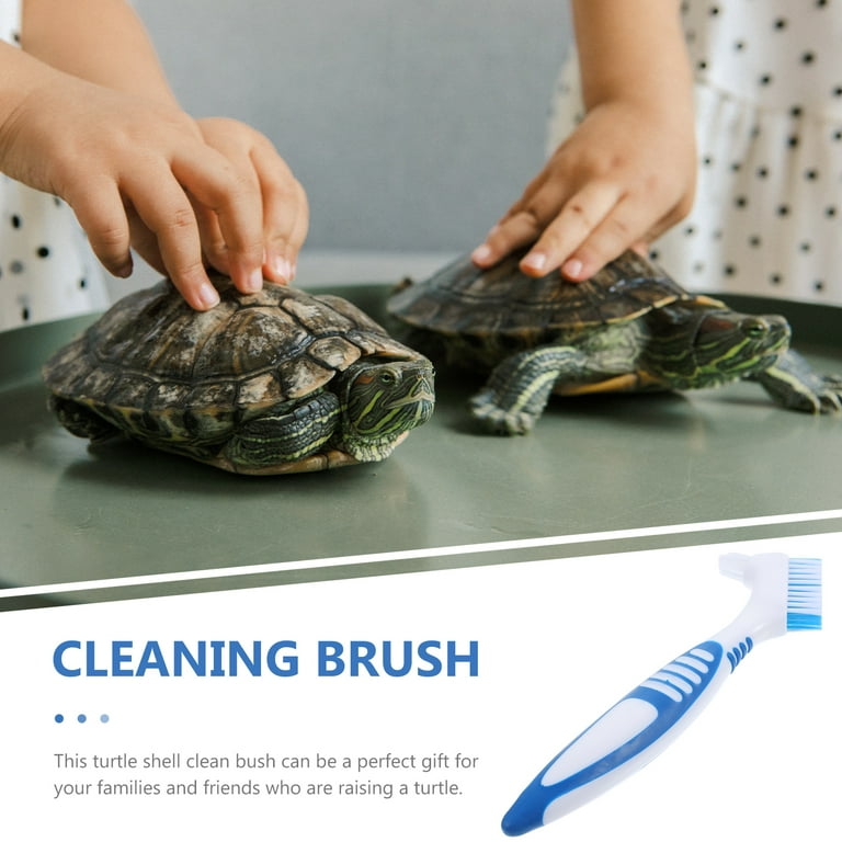 Turtle Shell Cleaning Brush Creative Tortoise Accessories Double 