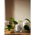 thumbnail image 7 of CANDWAX Unscented White Votive Candles Set of 36 - Clean-Burning, Long-Lasting 15 Hour Burn - Ideal for Weddings, Home Décor, Spa, Events - Bulk Value for Versatile Use, 7 of 7