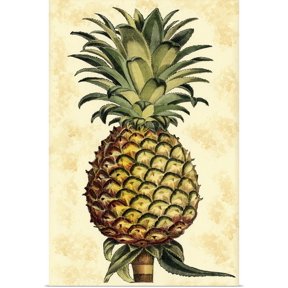 Great BIG Canvas | Rolled Vision Studio Poster Print entitled Pineapple Splendor II