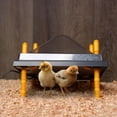 thumbnail image 3 of Rural365 Chick Heating Plate - 10 Inch Adjustable Brooder Heat Plate with Cover, 3 of 7