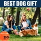 thumbnail image 3 of Pelotas de tenis AMA SPORT Dog Pet rojas para perros pequeños y medianos, 3 of 7