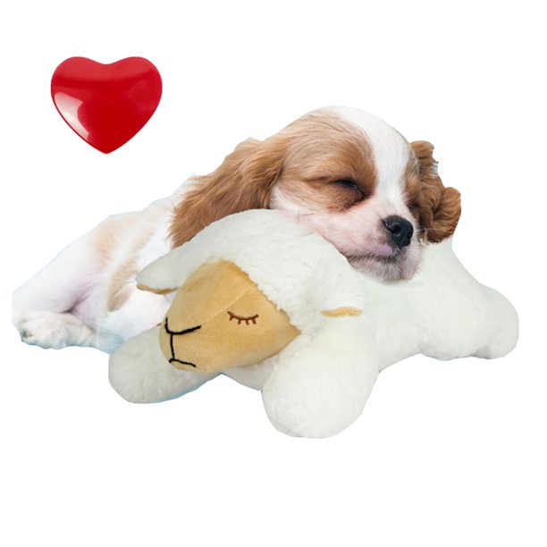 calming dog toy heartbeat