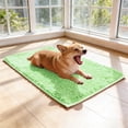 thumbnail image 4 of YaoZQ Light Green Soft Pet Bath Mat Non Slip Absorbent Rug Thick Fluffy Carpet for Dog Grooming Tub Shower Area Washable 24 x 16 Inch, 4 of 5