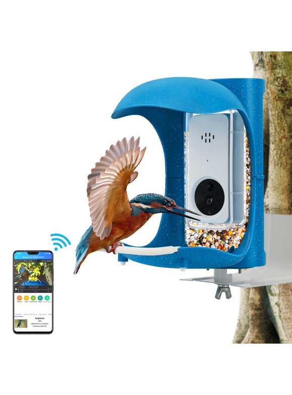 Bird Feeders with Camera in Bird Feeders