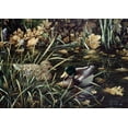 thumbnail image 2 of Tift, Jeff 14x11 Gold Ornate Wood Framed with Double Matting Museum Art Print Titled - Mallards, 2 of 4