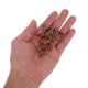 thumbnail image 5 of BESTYASH 70Ud Abrazaderas De Resorte Con Rápida Para Mangueras De Aire Y Combustible, 5 of 6