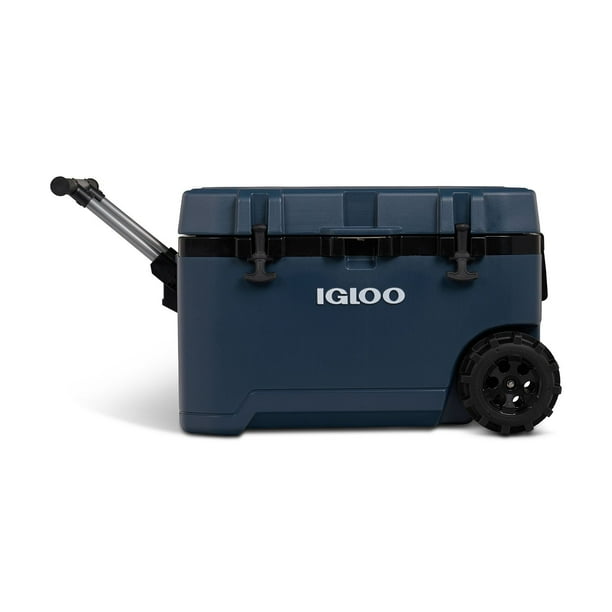 SAMSUNG - lgloo Igloo 20 QT ICF18 Electric Cooler, Rugged Blue - Samsclub.com