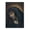 Wooden puzzle 103, variant on 500-Piece Adult Wood Jigsaw Puzzle, Classical Church Arch Oil Ascension Of Jesus Apostles Group Religious Art jesus puzzles for adults, Stress-Relieving Eco-Friendly, 20.5×15in