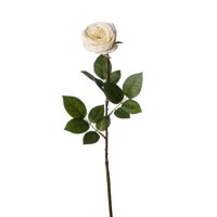 Sage & Co. Fleur Dutch Rose Stem (Set of 12)