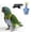 A, variant on Bird Flight Leash And Harness For Parrots Small Birds Outdoor Training Aviary Gear